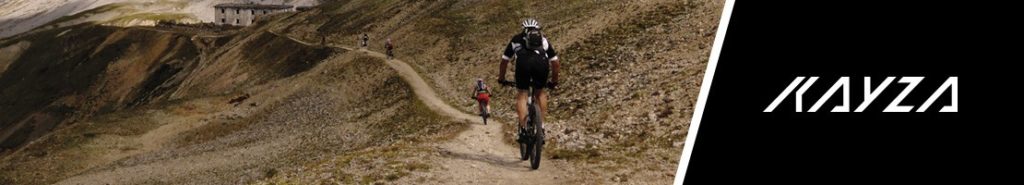 Pedelecs Trekking MTB