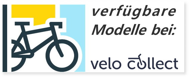 Unsere VSF-Fahrradmanufaktur bei Velocollect